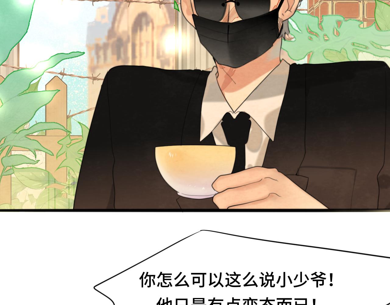 第65话 小少爷的秘密(1/4)-第70话