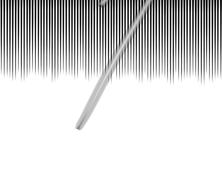 第八话 一起住(1/3)-第8话