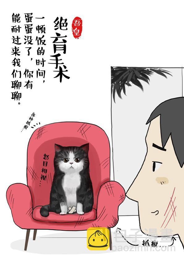 第2话 傲娇是猫的原则-第2话