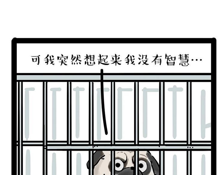 吾皇巴扎黑 - 第176話 不要打擾我追求自由(1/2) - 5