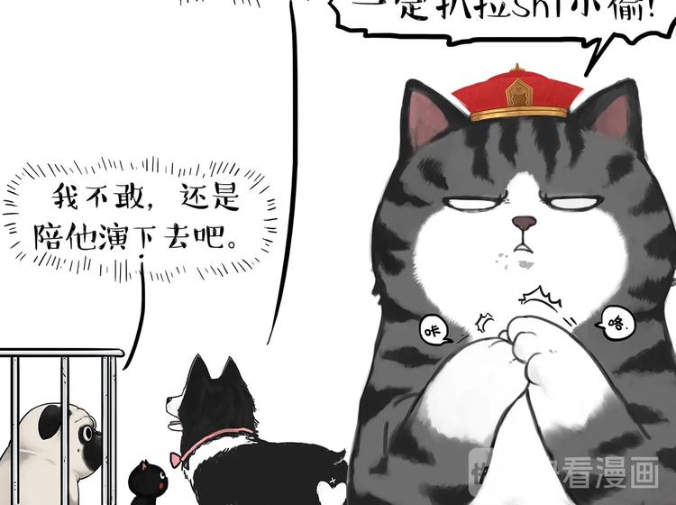 吾皇巴扎黑 - 第202话 谁动了吾皇的猫粮(1/2) - 5