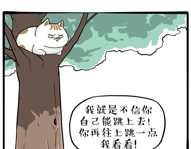 吾皇巴扎黑 - 第271話 進擊的流浪貓！(1/2) - 1