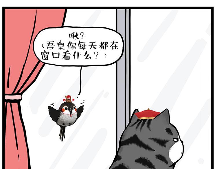 吾皇巴扎黑 - 第277話 貓鬥貓 - 1