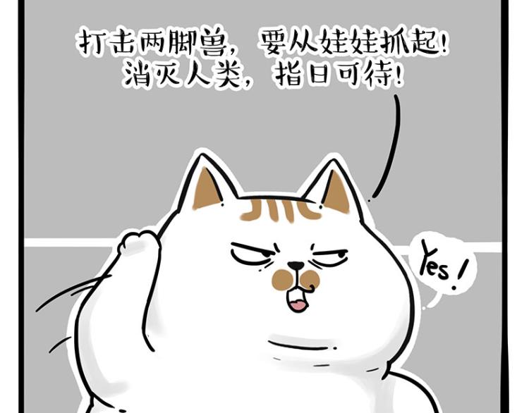 吾皇巴扎黑 - 第290话 凶恶猫猫组织(1/2) - 6