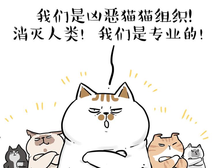 吾皇巴扎黑 - 第290话 凶恶猫猫组织(1/2) - 8