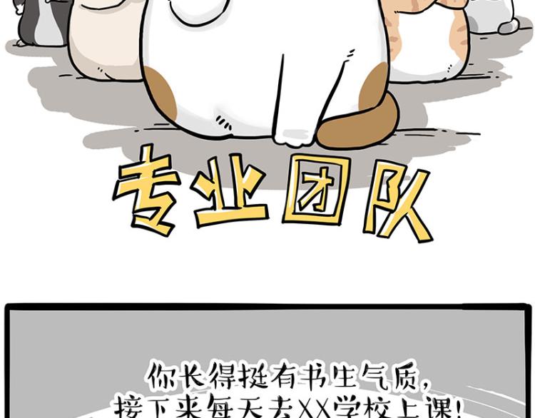 第290话 凶恶猫猫组织38