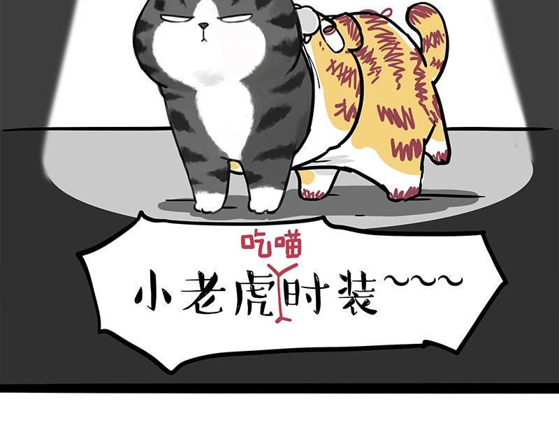 吾皇巴扎黑 - 第296话 披着虎皮的猫 - 3