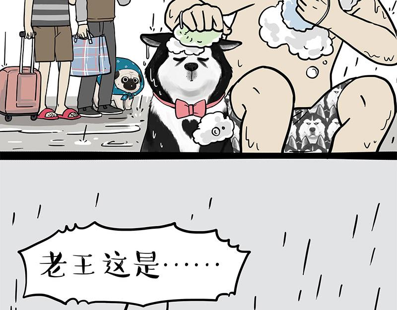 吾皇巴扎黑 - 第306話 不辛苦，命苦 - 3