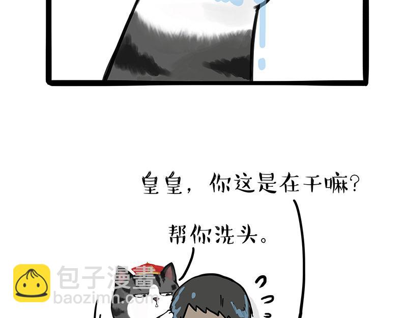 吾皇巴扎黑 - 第310話 黑裡尋黑 - 5