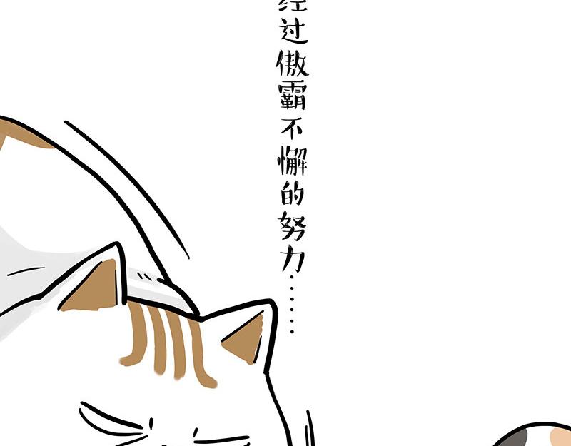 吾皇巴扎黑 - 第320话 猫孵鱼(1/2) - 4