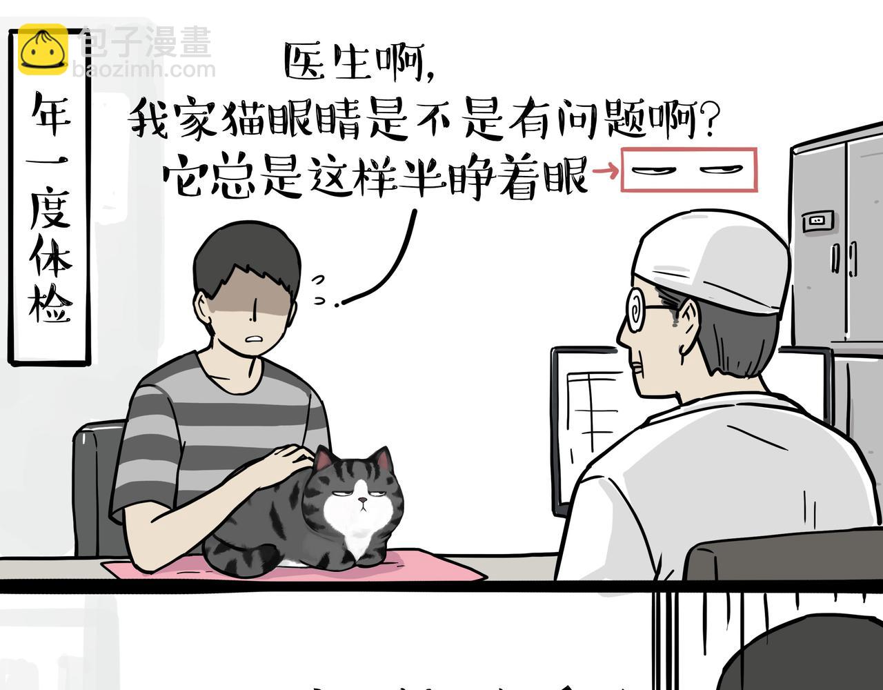 吾皇巴扎黑 - 第358話 都是錯覺 - 5