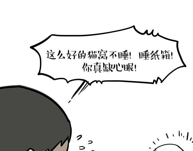 吾皇巴扎黑 - 第364話 萬一呢？ - 1