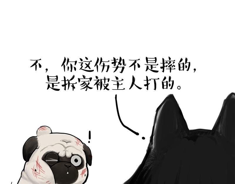 吾皇巴扎黑 - 第400話 你是好人 - 5