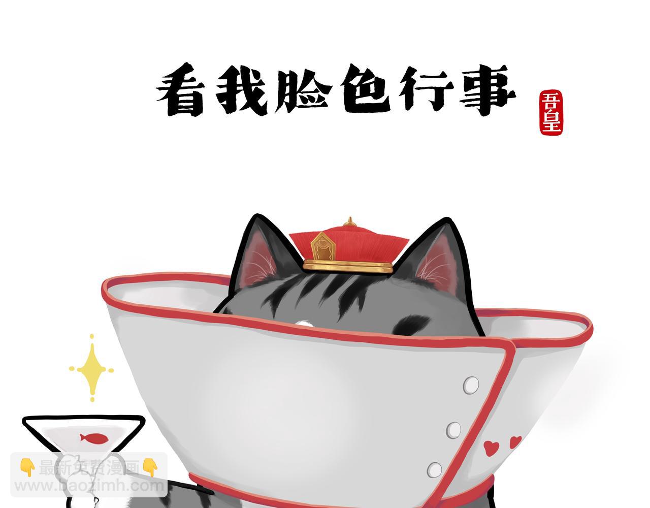 吾皇巴扎黑 - 第416話 進圈 - 3