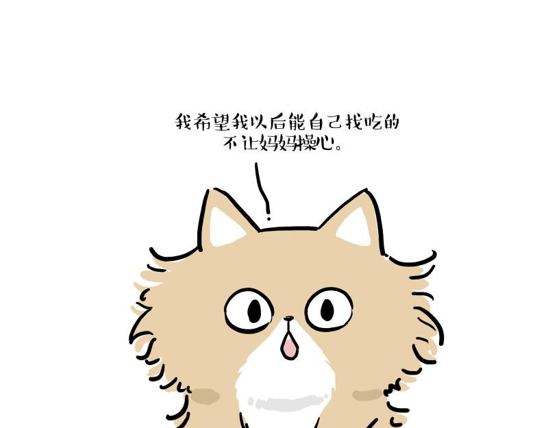 第424话 话痨小猫30