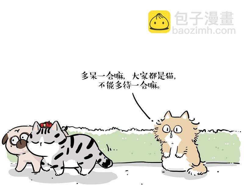 第424话 话痨小猫38