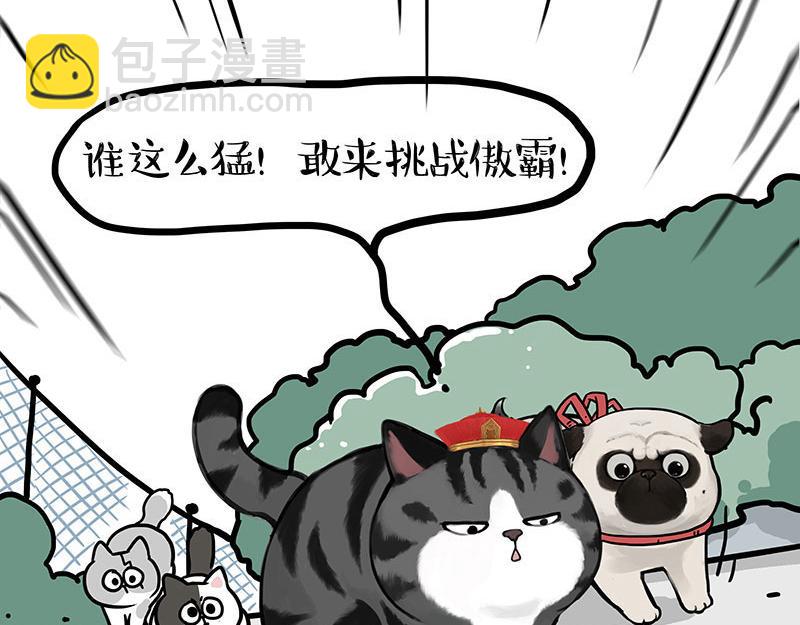 吾皇巴扎黑 - 第442話 逆風的挑戰 - 6