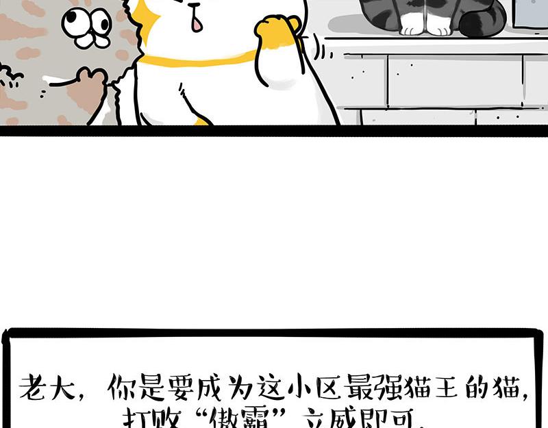 吾皇巴扎黑 - 第442話 逆風的挑戰 - 4