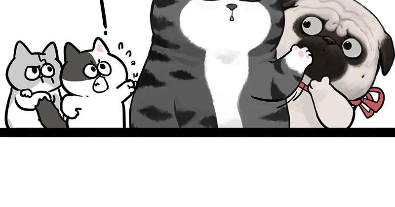 吾皇巴扎黑 - 第442話 逆風的挑戰 - 2