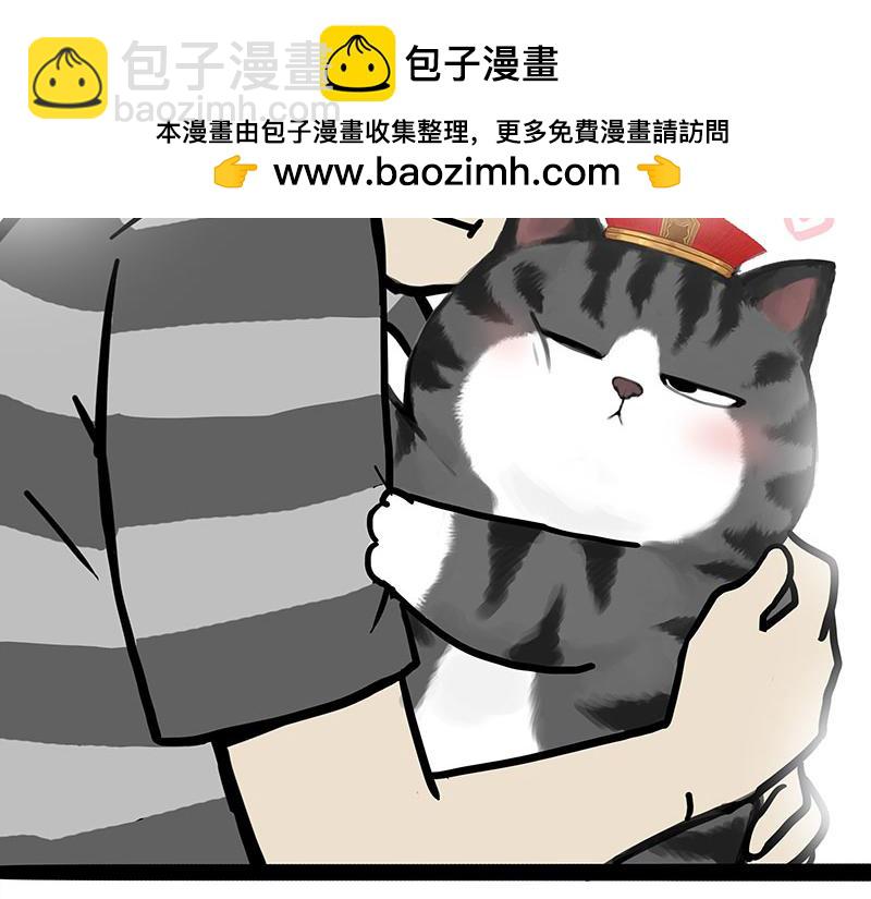 第456话 猫猫的年终总结-第456话