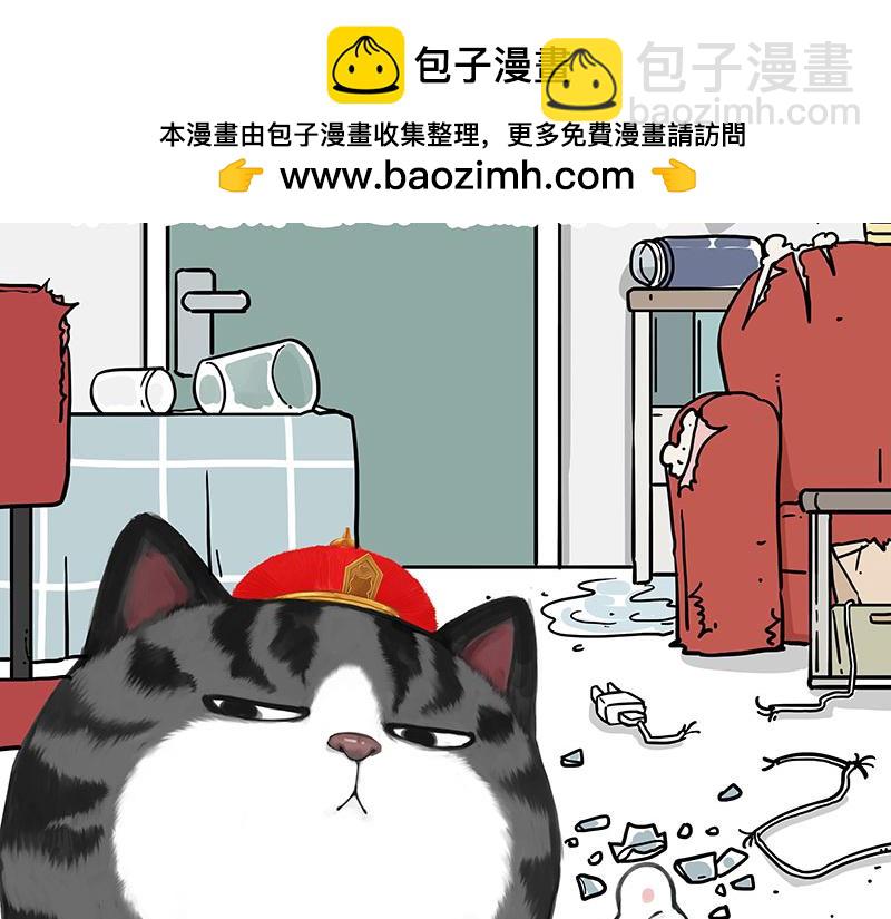 第456话 猫猫的年终总结-第456话