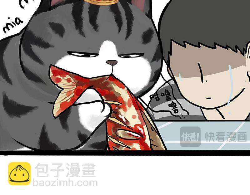 第456话 猫猫的年终总结-第456话