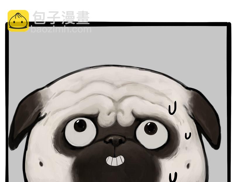 第462话 鸽王（被迫版）(1/2)-第462话