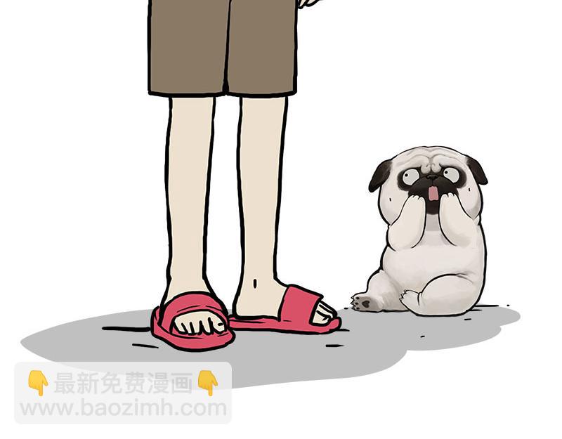 第462话 鸽王（被迫版）(1/2)-第462话