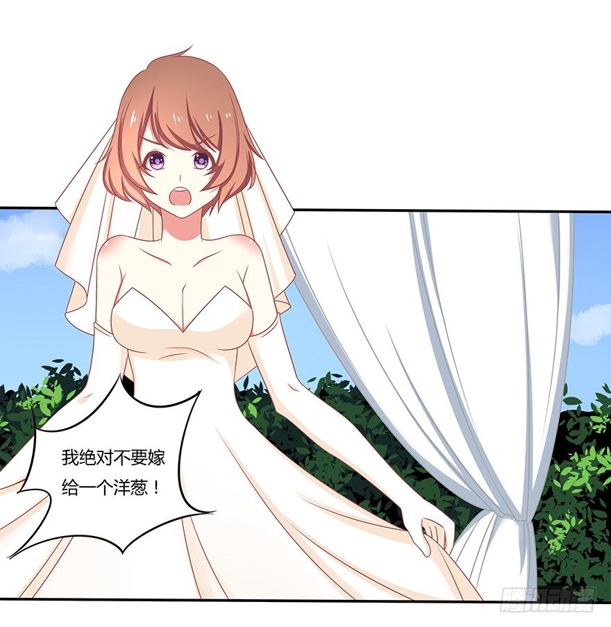 梦中的婚礼-第26话