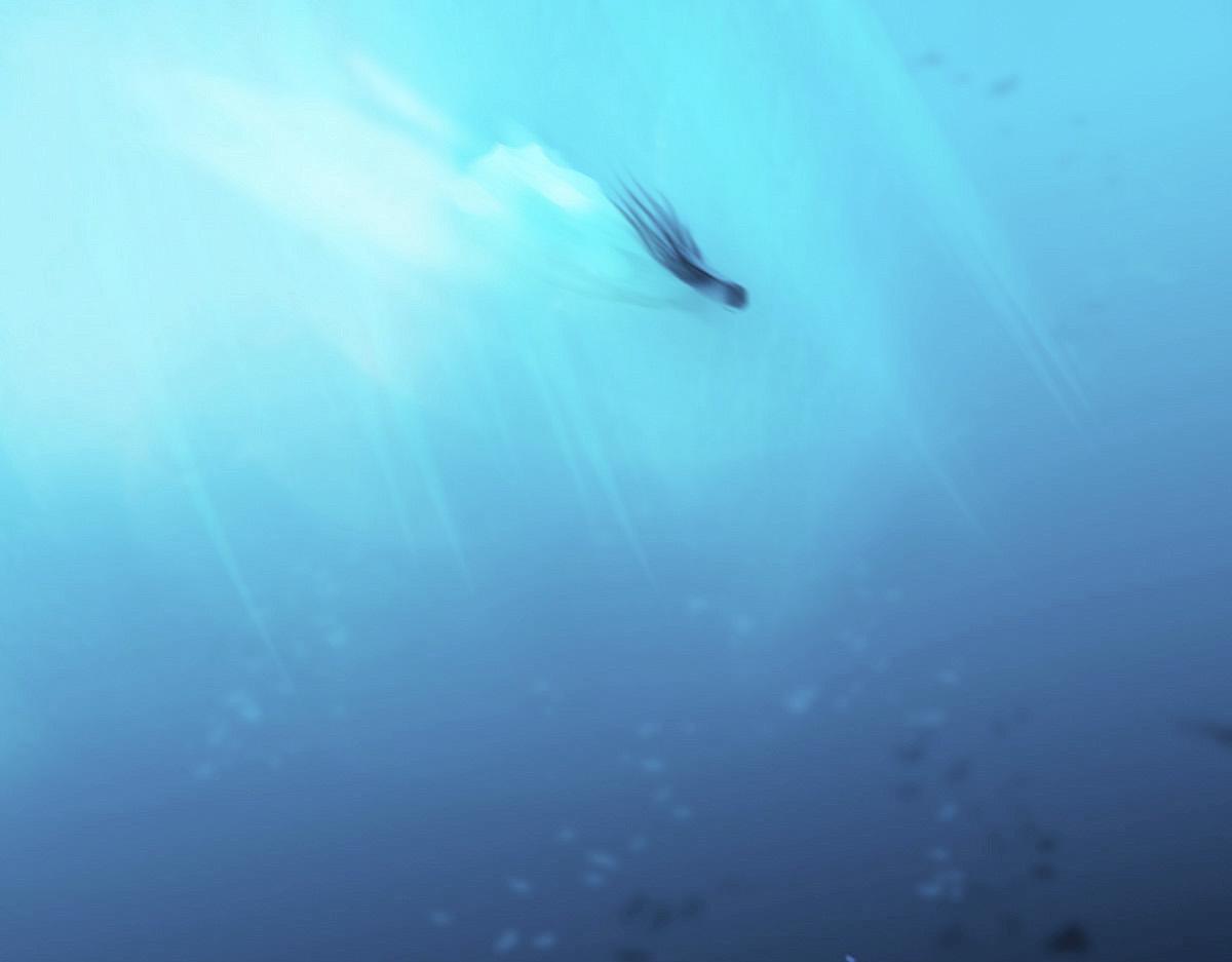 第二章 泉眼传说(1/2)-第2话