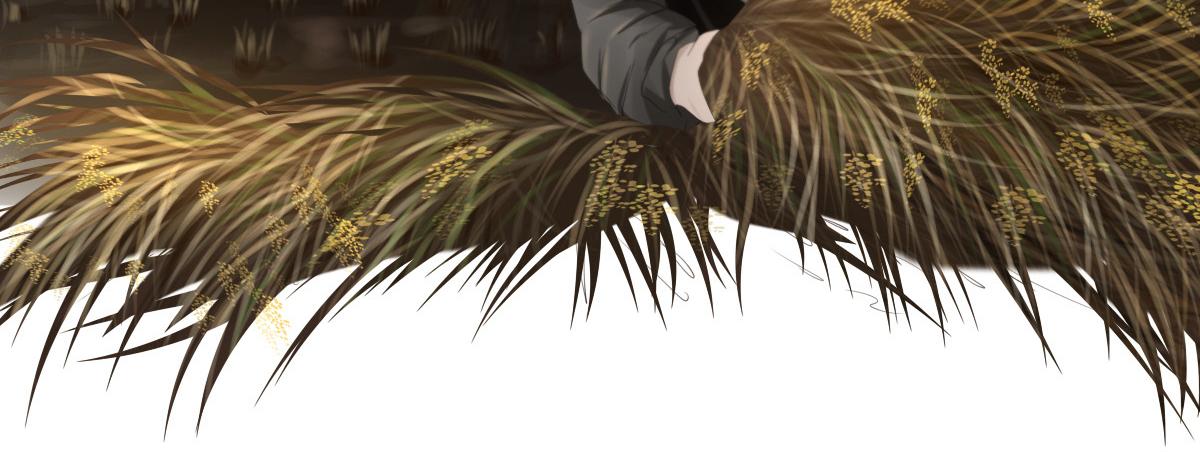 第二十七章 幸福时光(1/2)-第28话