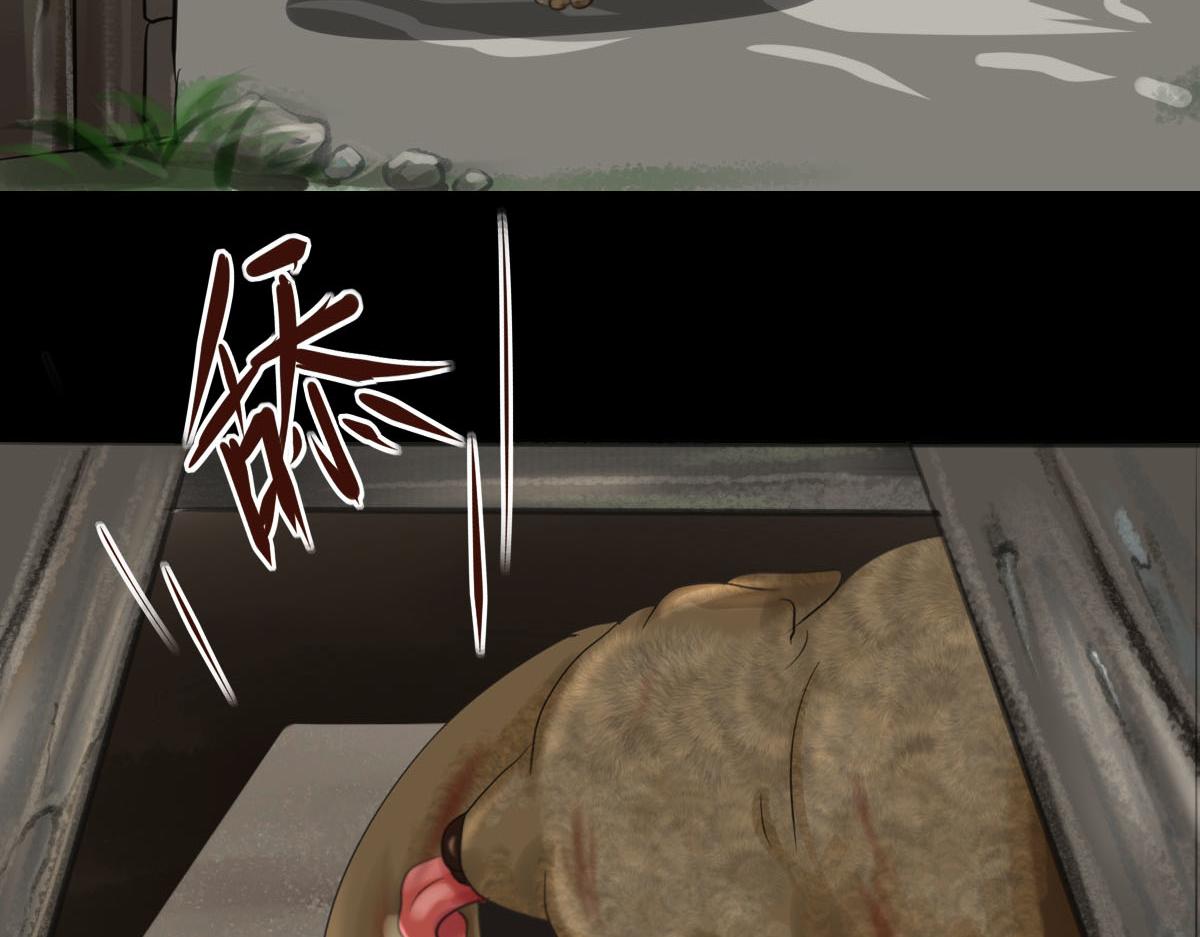 第三十一章 迷失森林(1/2)-第32话