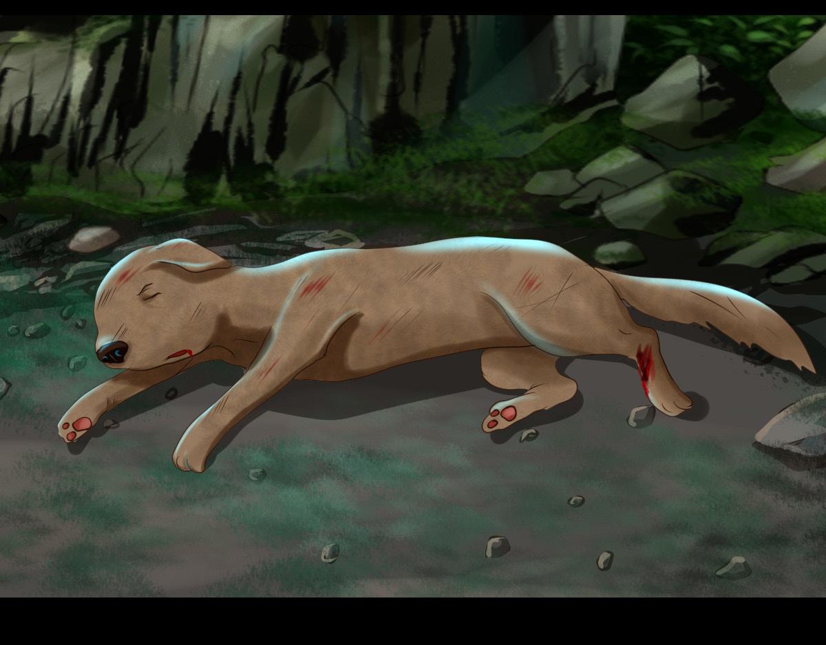 第四十五章 信以为真(1/2)-第46话