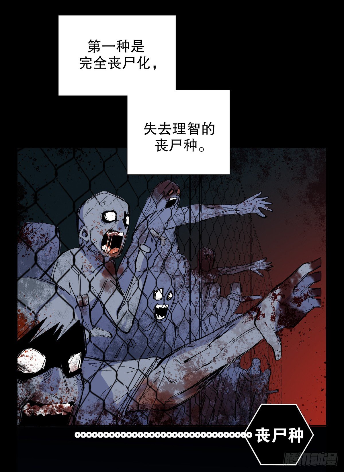 番外(1/2)-第40话