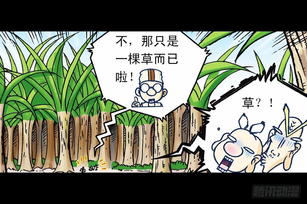 第16集 初探神木村(1/2)-第16话