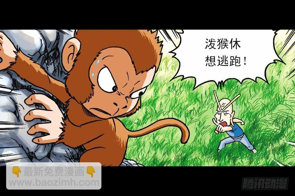 第56集 猴孙大激斗(1/2)-第56话