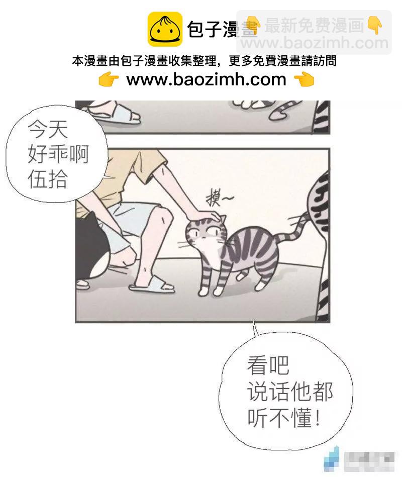 伍拾是隻煩人的貓 - 02 - 1