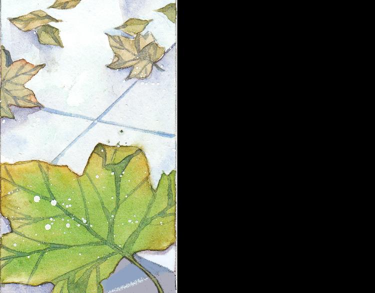 第3话 灰姑娘的&ldquo;水晶鞋&rdquo;-第2话