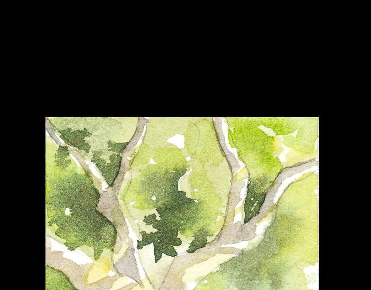 第5话 为什么校草会喜欢这种人？-第4话