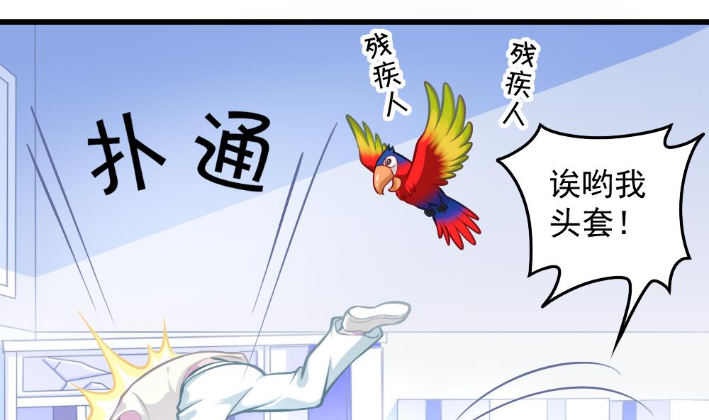 第052话 可爱的小鹦鹉-第54话