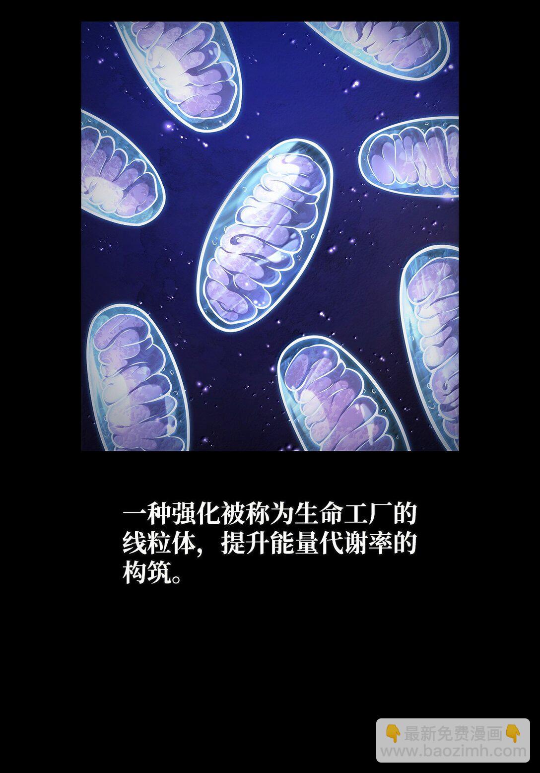 76 线粒体构筑(1/3)-第76话