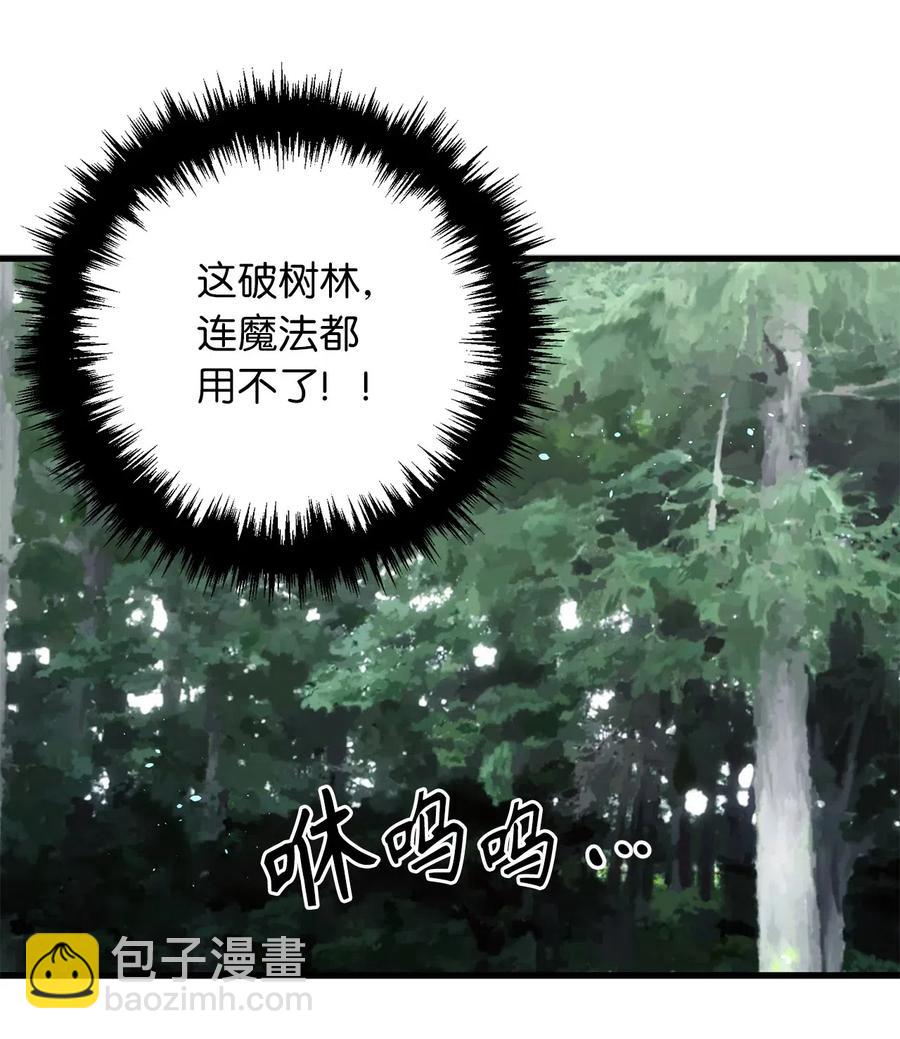 无限魔力初级剑士 - 48 诡异的村落 - 1