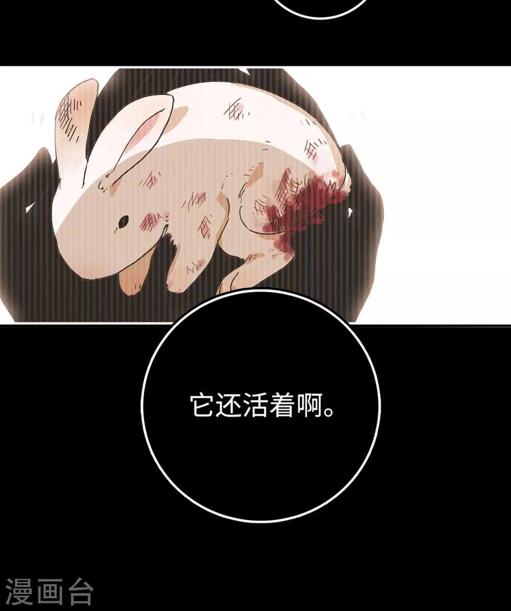 第1话 我死了！(1/2)-第2话