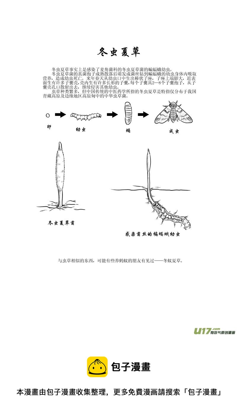 第十一章 吐丝的妖怪-第12话