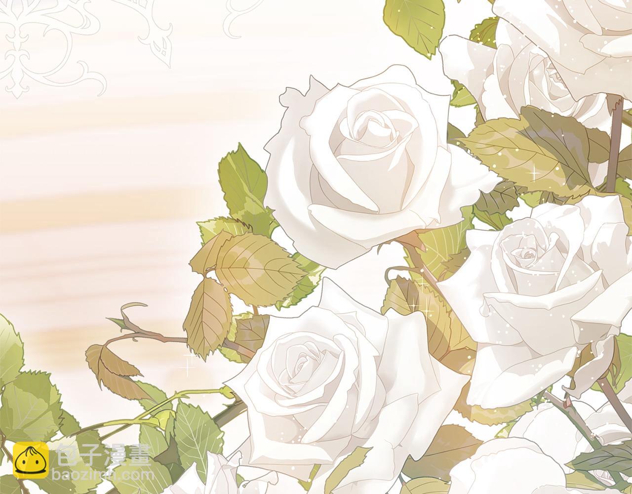 番外6 我的妻子(1/5)-第110话