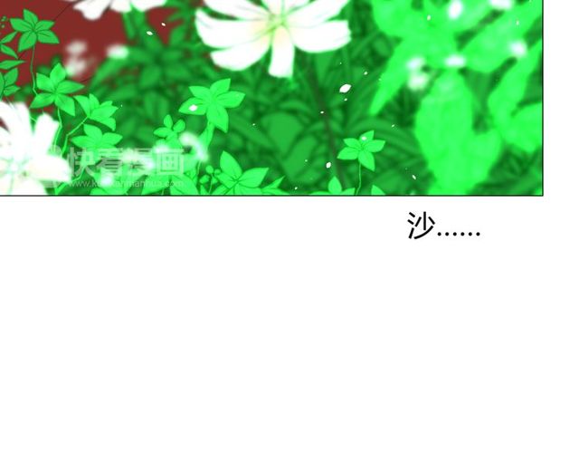 第69话 五色锦鸡(1/3)-第78话