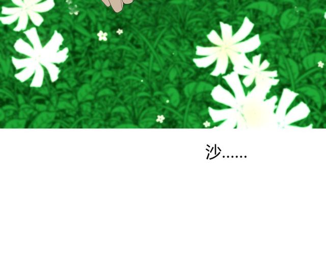 第69话 五色锦鸡(1/3)-第78话