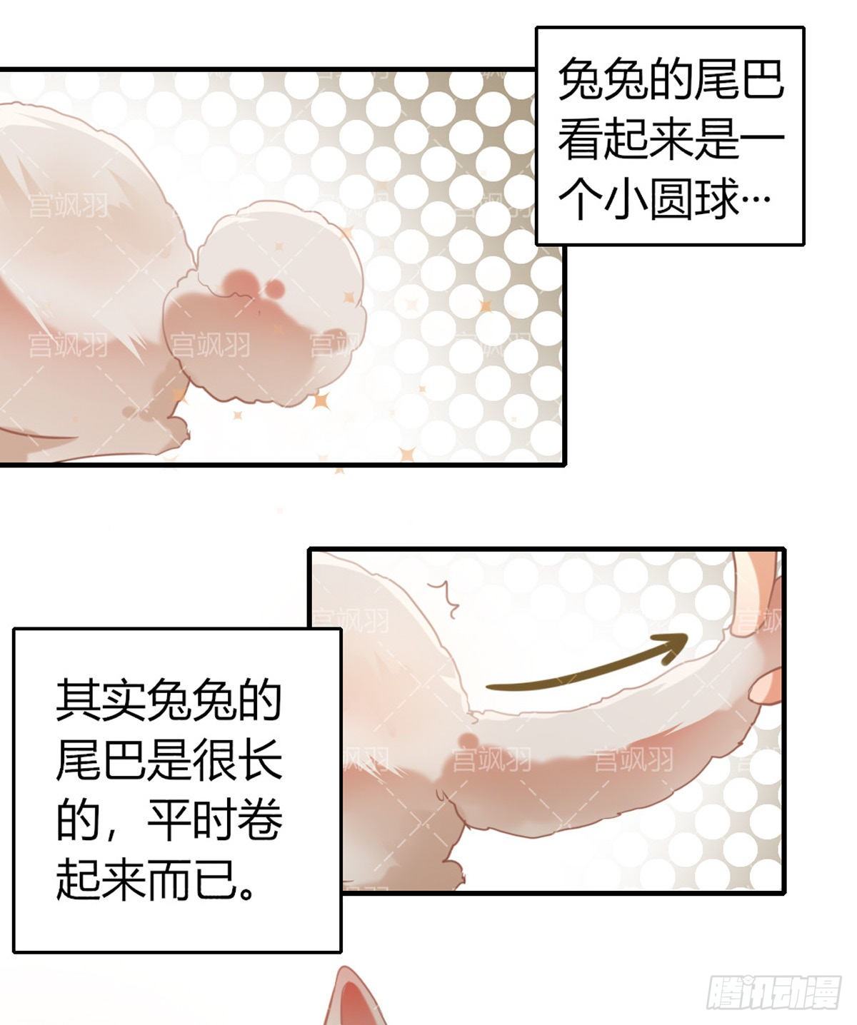 兔兔星饲养指南5-第80话