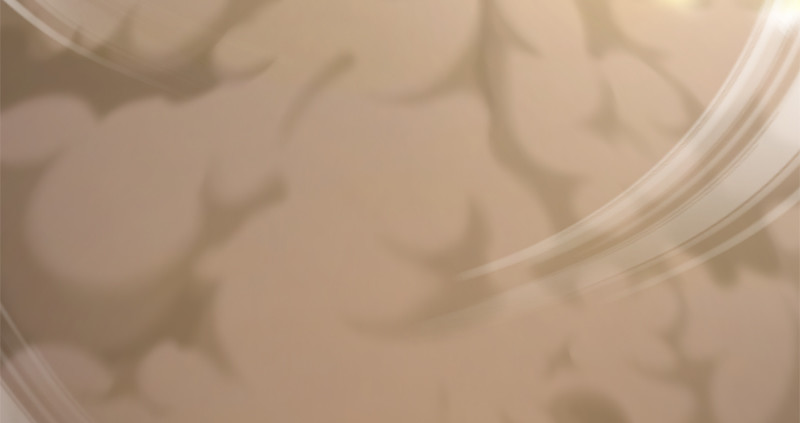 第五十七话 残招挫二使(1/2)-第58话