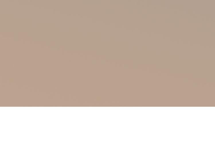 第10话(1/2)-第10话